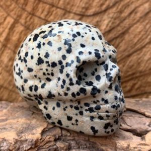 Dalmatier Jaspis schedel 107 gram